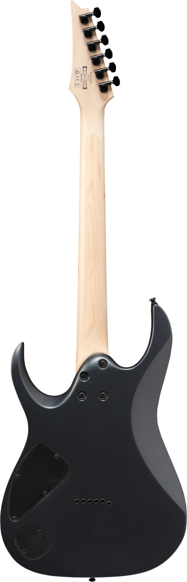 Ibanez RGA42EXBAM 6-String Electric Guitar, Black Aurora Burst Matte