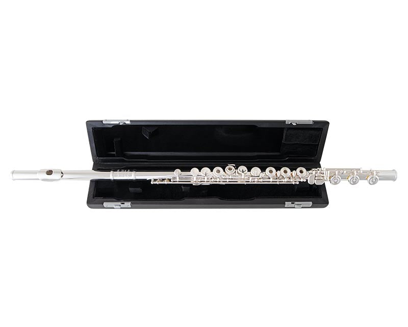 Selmer sfl301 standard Piccolo Outfit