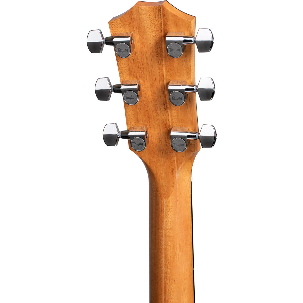 Taylor 210ce Plus Full Gloss Dreadnought Acoustic Electric Guitar, Torrefied Spruce