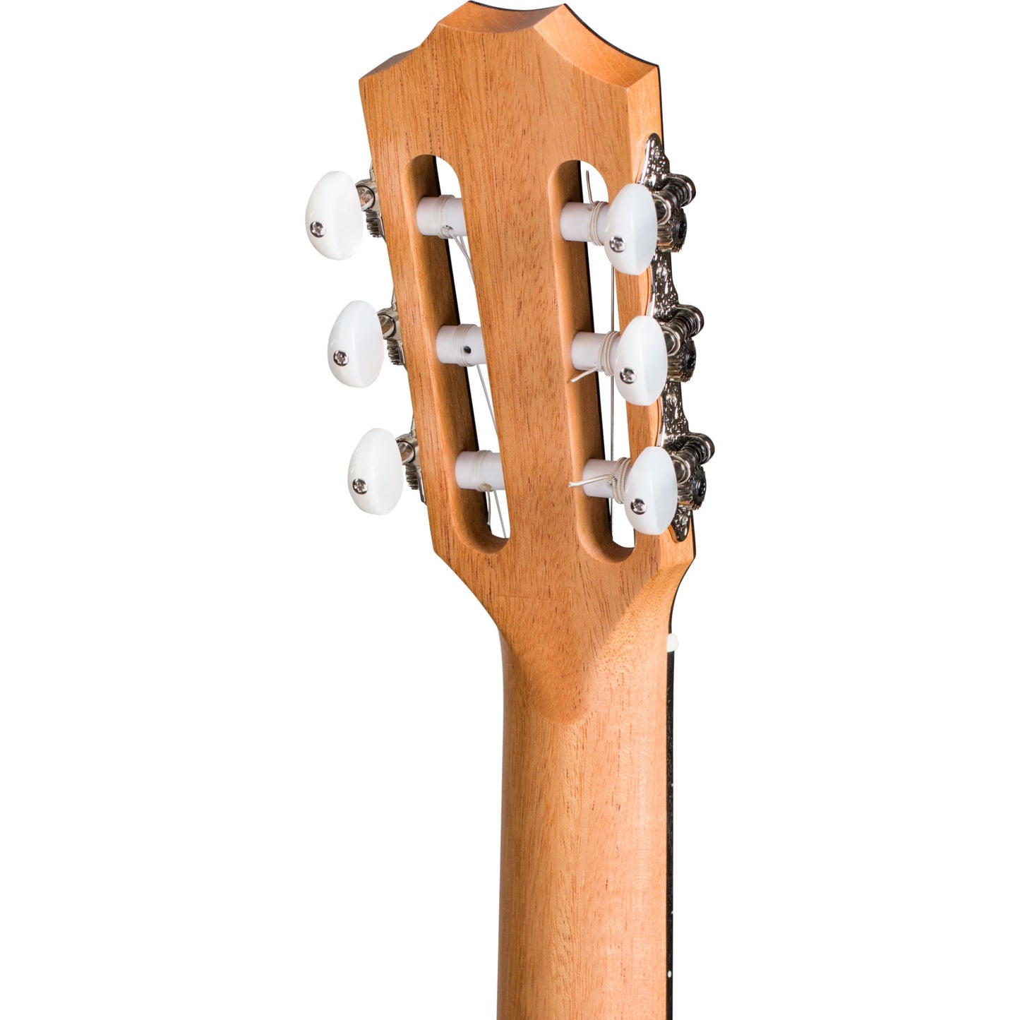 Taylor 214ce Nylon Grand Auditorium Acoustic Electric Guitar