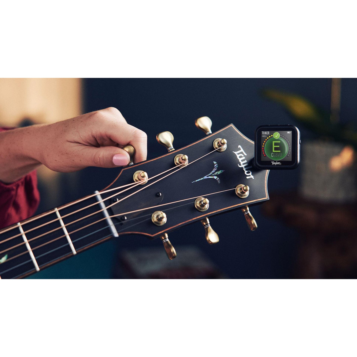 Taylor Beacon Clip On Tuner with Flashlight