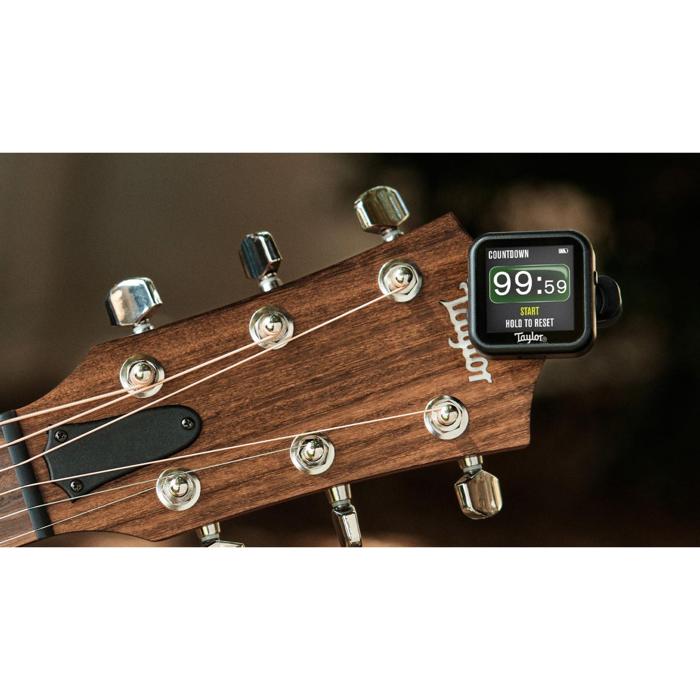 Taylor Beacon Clip On Tuner with Flashlight