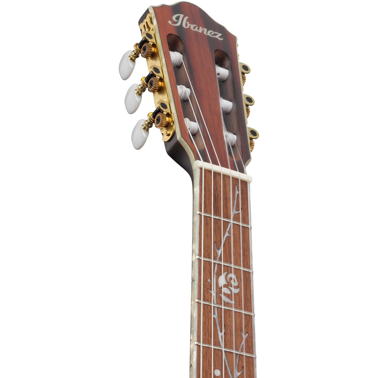 Ibanez TOD10N Tim Henson Nylon String Acoustic Electric Guitar, Transparent Black Flat