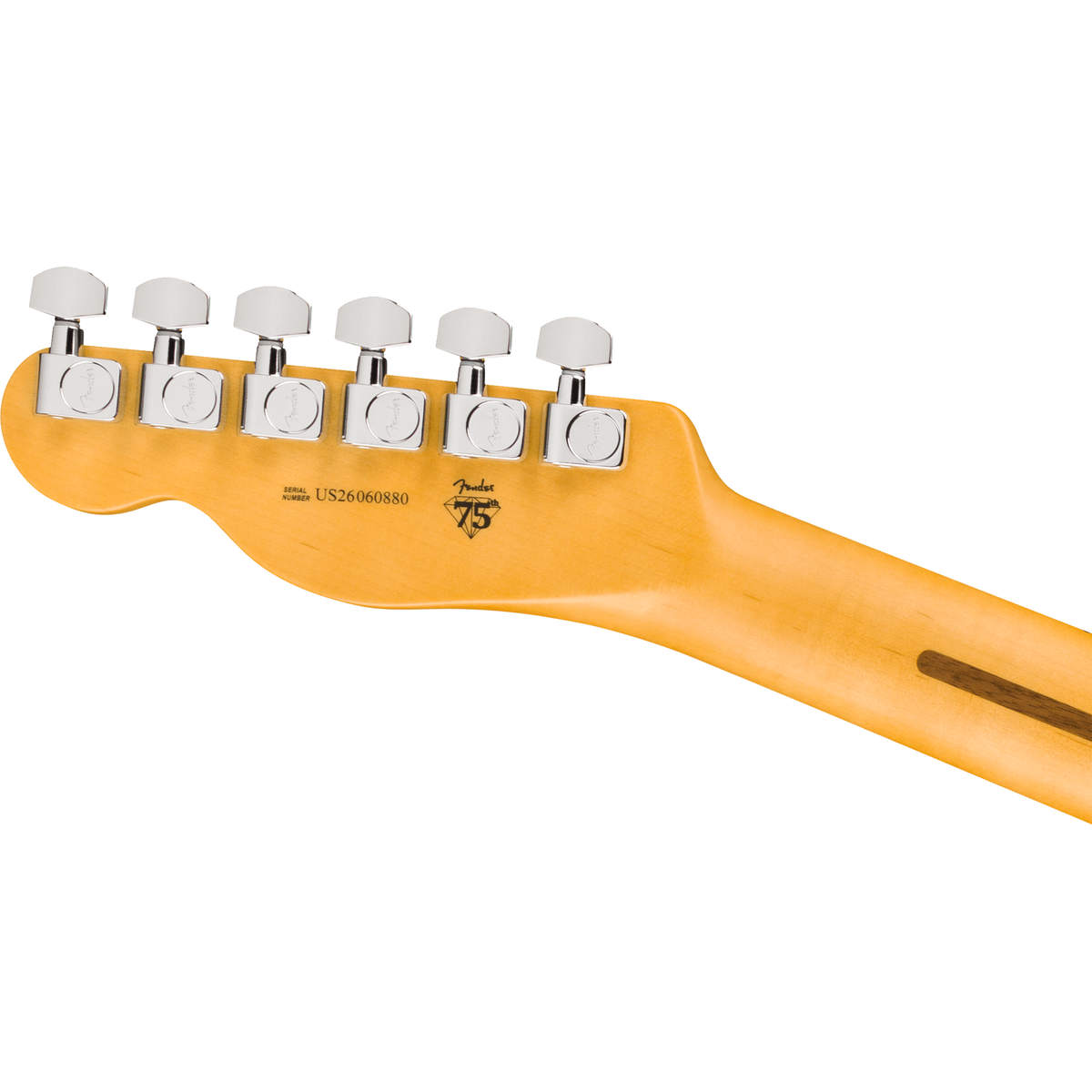 Fender American Professional Telecaster - Maple Fingerboard, Black