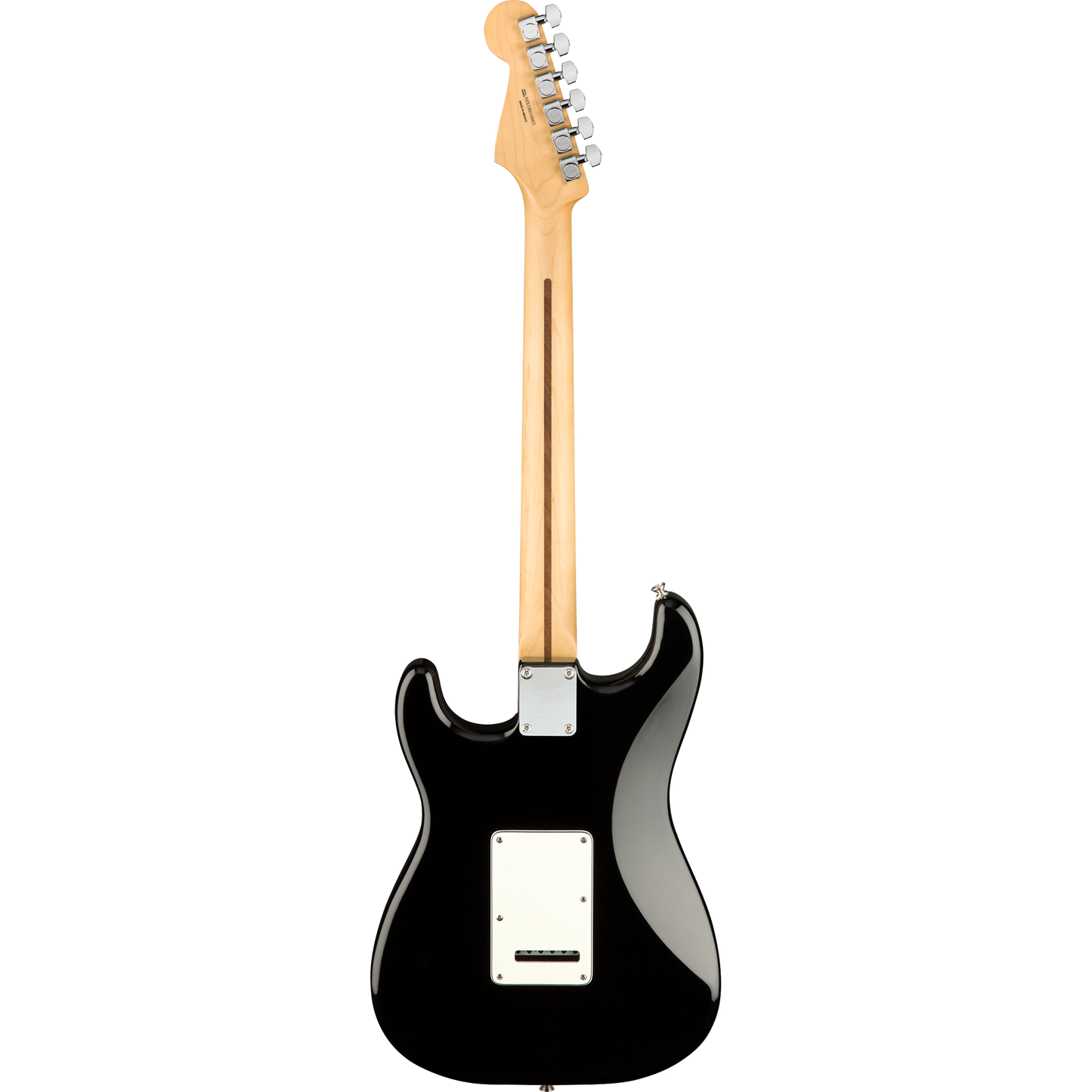Fender Player Stratocaster®, Pau Ferro Electric Guitar, Black
