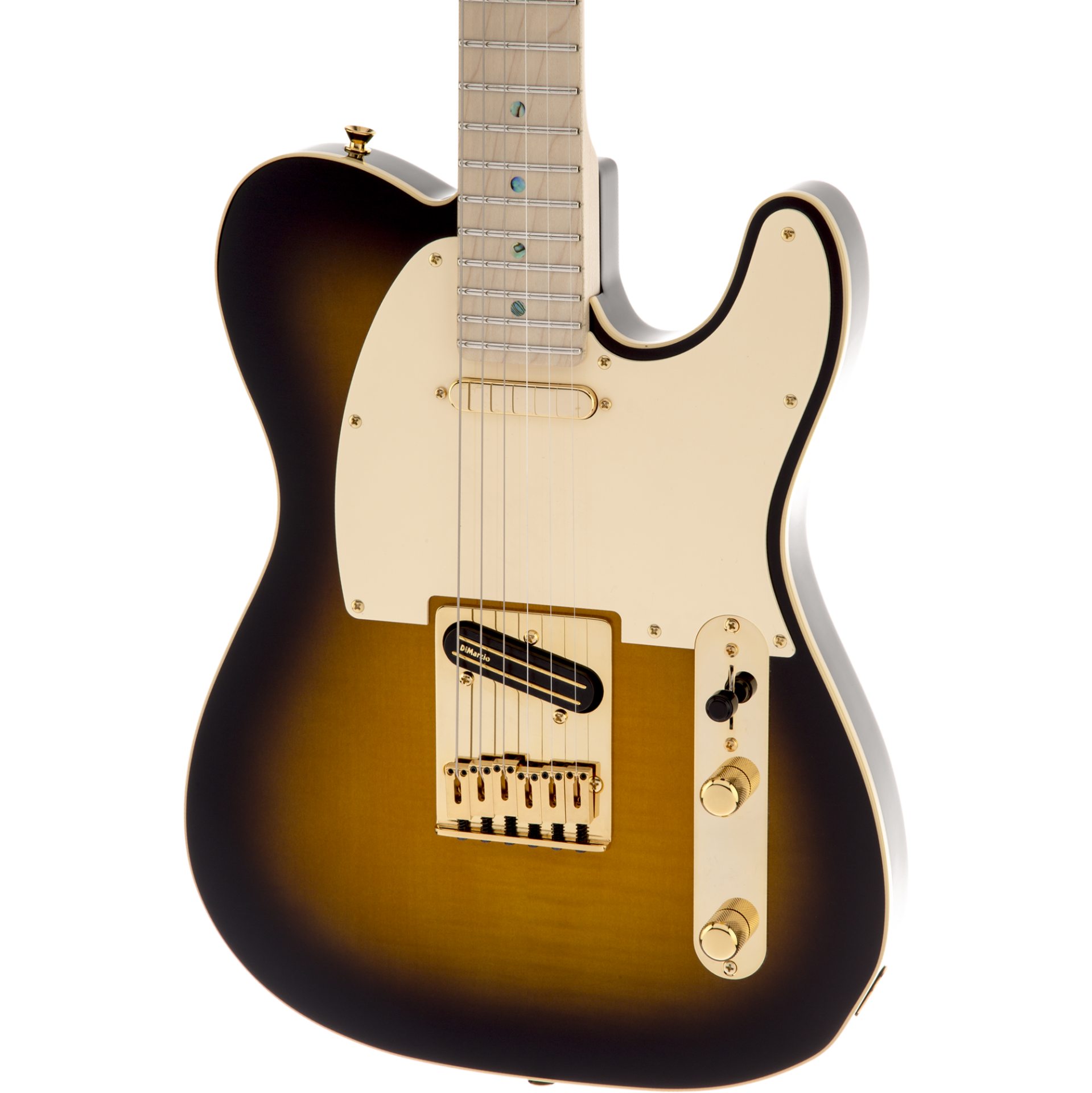 Fender Richie Kotzen Telecaster Brown Sunburst Maple Neck w/ Gig
