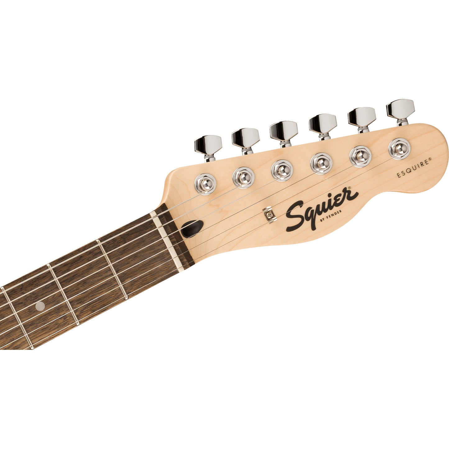 Squier Sonic Esquire H Guitar - Laurel Fingerboard, Black Pickguard, Olive