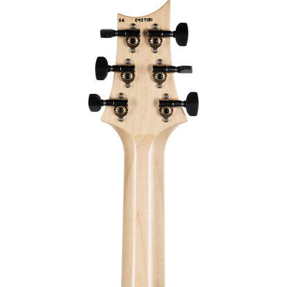 PRS NF 53 Electric Guitar - Sprayer’s Choice