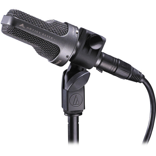 Audio Technica AE-3000 Large-Diaphragm Cardioid Instrument Microphone