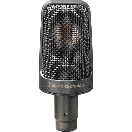 Audio Technica AE-3000 Large-Diaphragm Cardioid Instrument Microphone