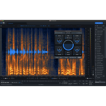 Izotope RX 10 Advanced: Upgrade from RX 9 Advanced or RX Post Production Suite 6