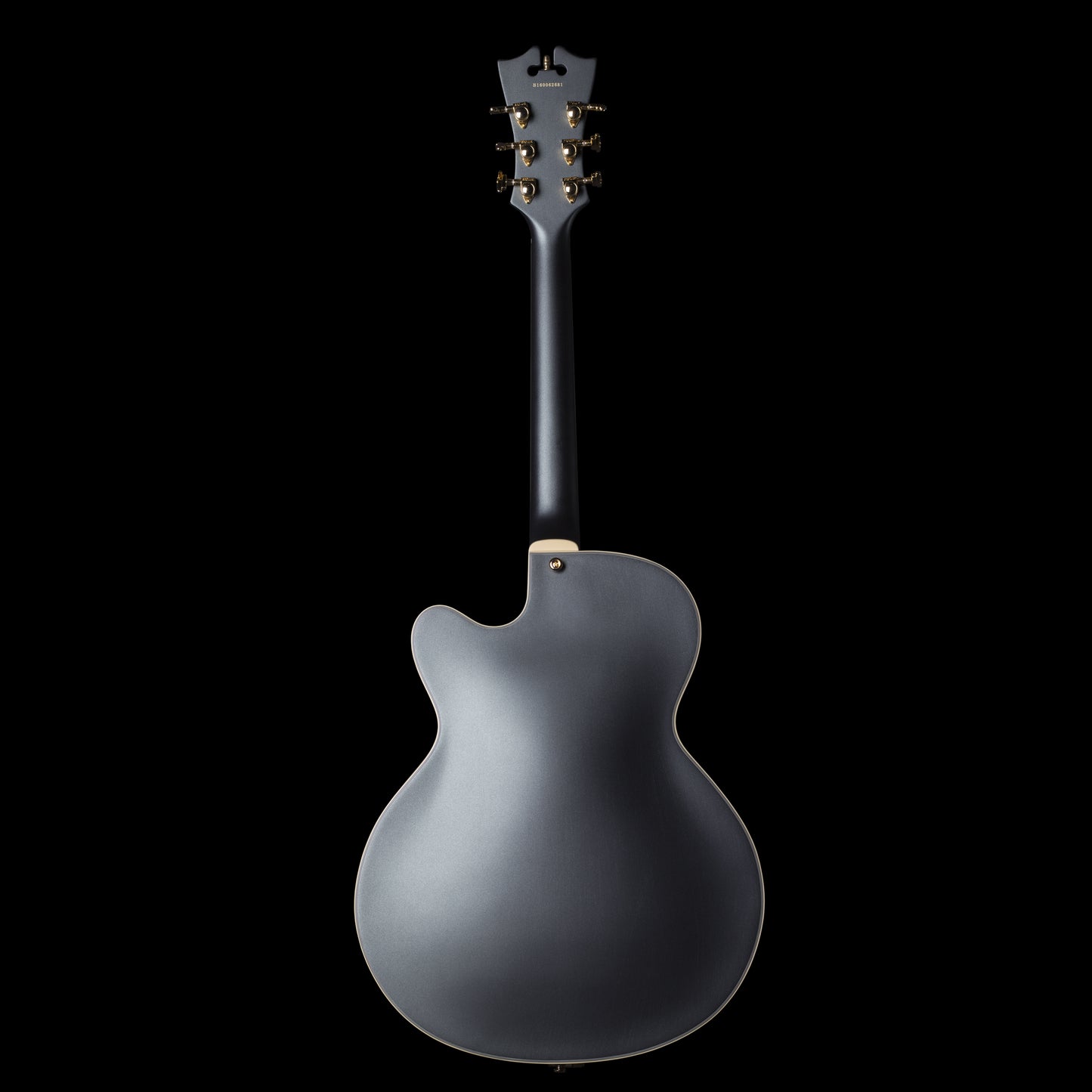 D'angelico EX-175 Deluxe Midnight Matte w/ Case (175MMNGB)