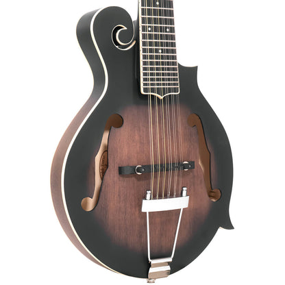 Gold Tone F-12 Long Scale 12 String F Style Mando Guitar w/Case