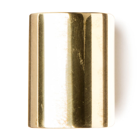 Dunlop 223 SI Brass Slide Medium