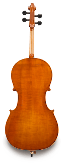 Eastman VC200 4/4 Cello Outfit
