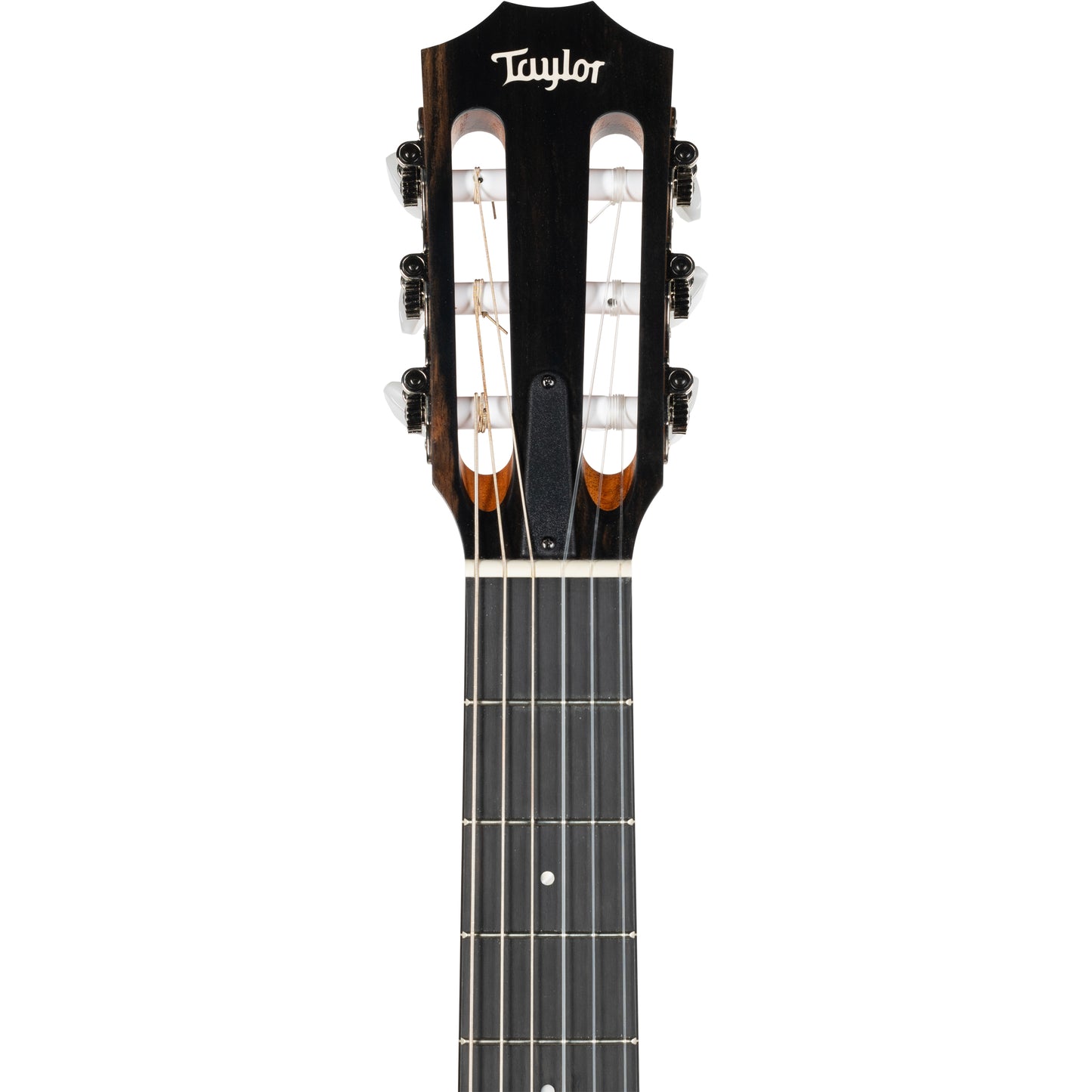 Taylor 214ce-N Nylon String Grand Auditorium Acoustic Guitar