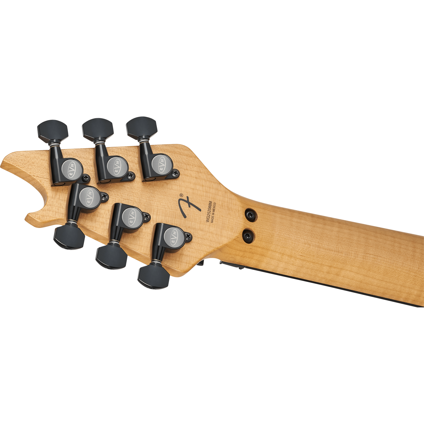 EVH Wolfgang Special Electric Guitar - Ebony Fingerboard, Stealth Black