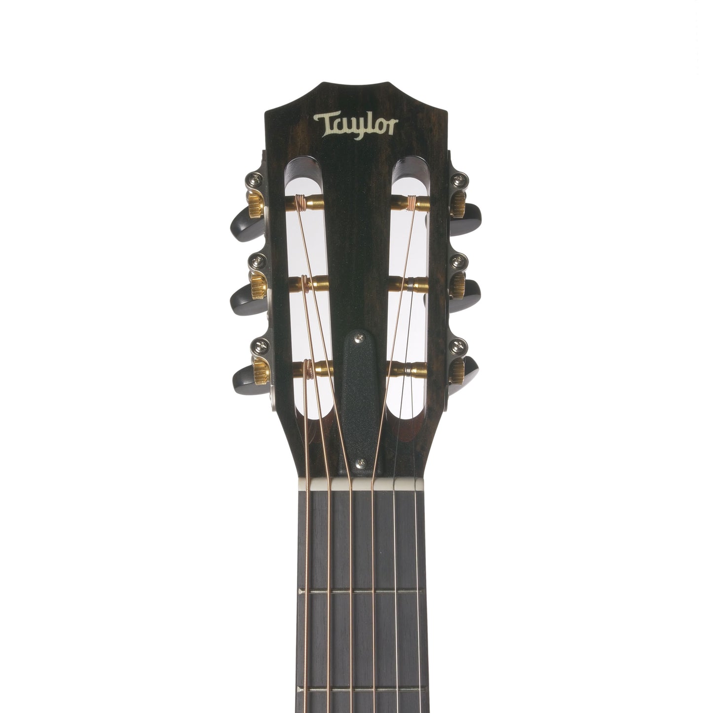 Taylor 510e Dreadnought Acoustic-Electric Guitar w/ Case (510E2016)