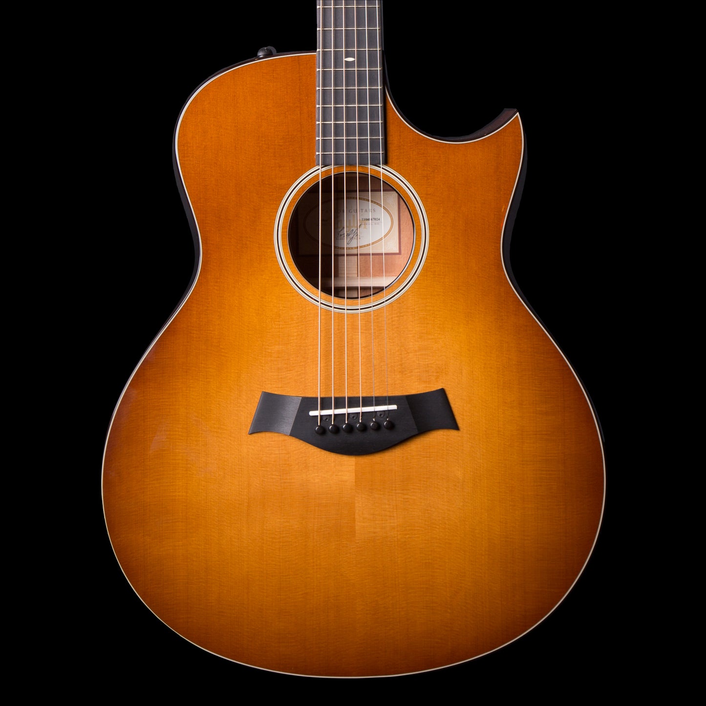 Taylor 516ce Grand Symphony Acoustic Electric Guitar (516CEFLOR)