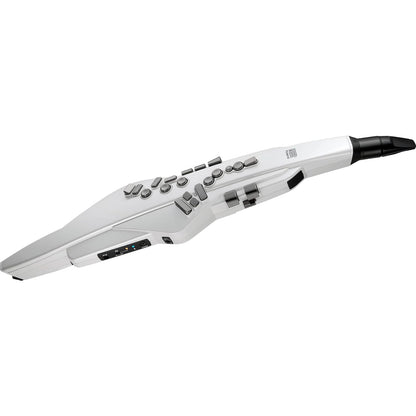 Roland Aerophone AE-20W Digital Wind Instrument