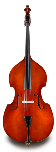 Eastman VB80ST 3/4 Double Upright Bass Outfit