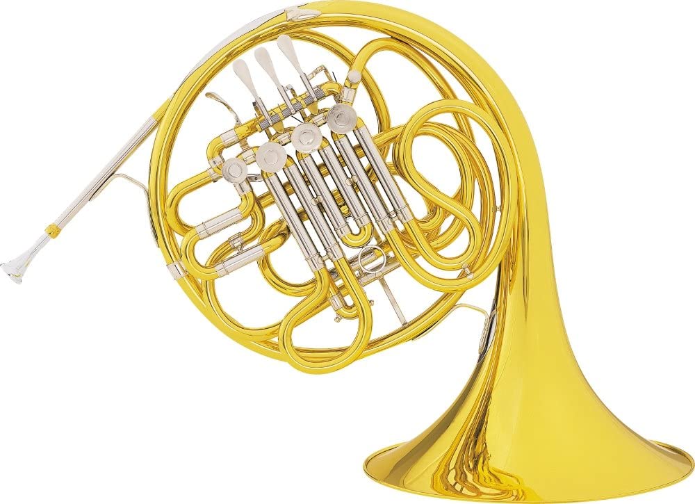Conn 6D Intermediate Double French Horn Outfit