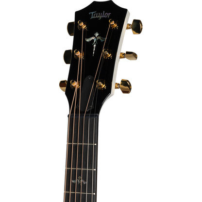 Taylor 614ce 50th Anniversary Limited Edition Acoustic Electric Guitar, Trans White