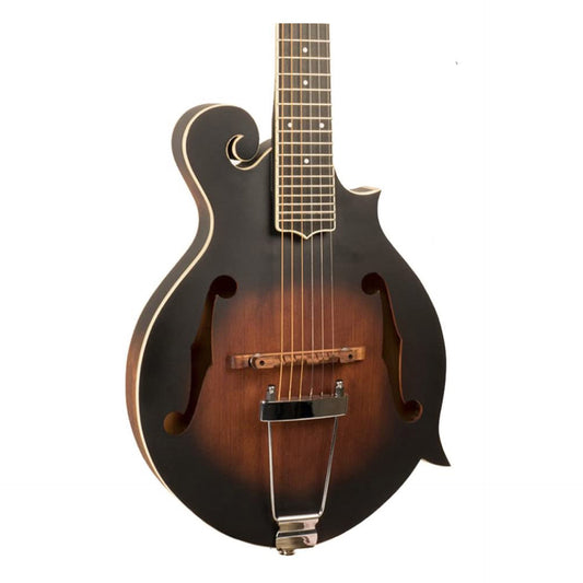 Gold Tone F-6, 6-String Mandolin Guitar with Case