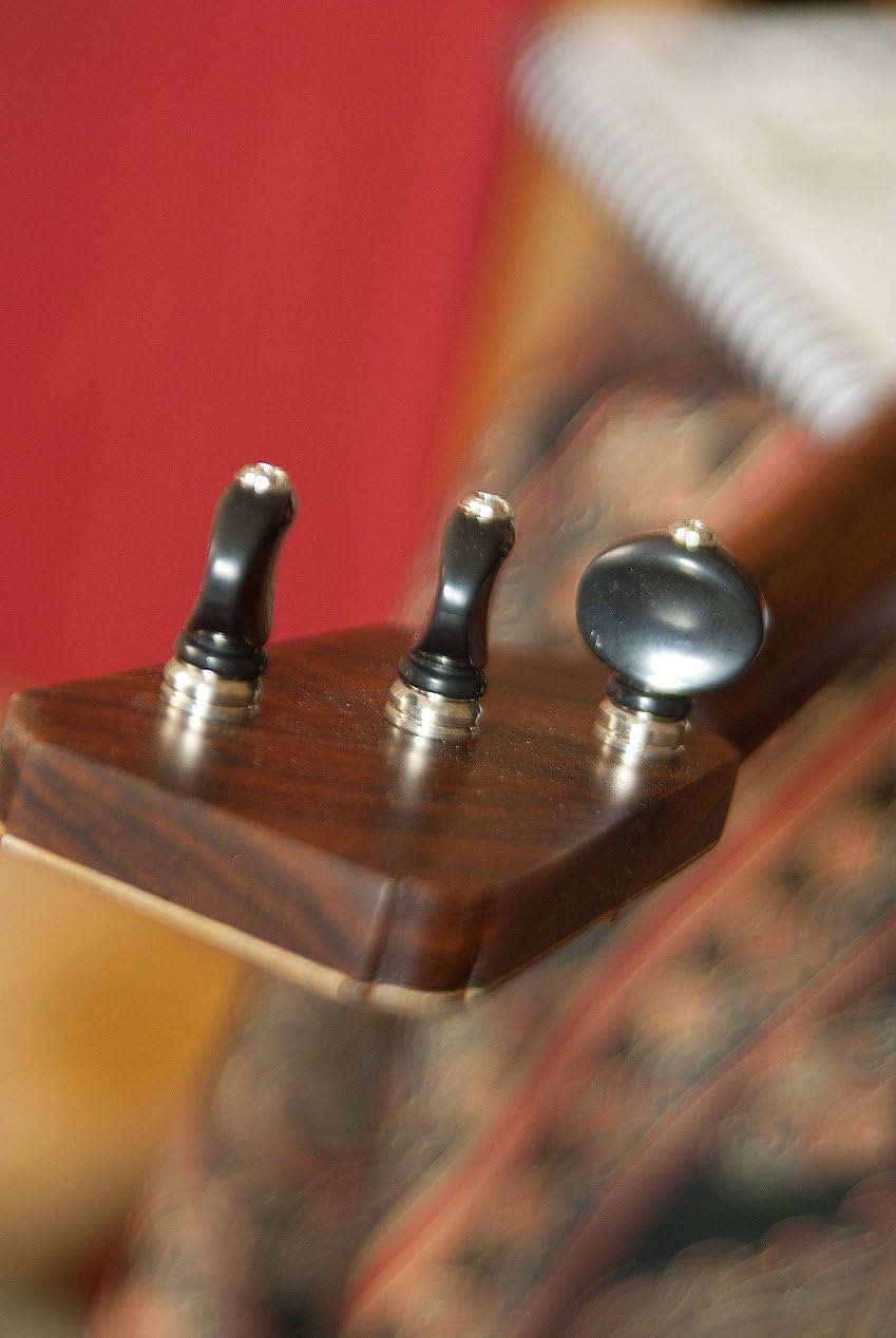 Roosebeck Deluxe Prima Balalaika Sheesham Stave Body