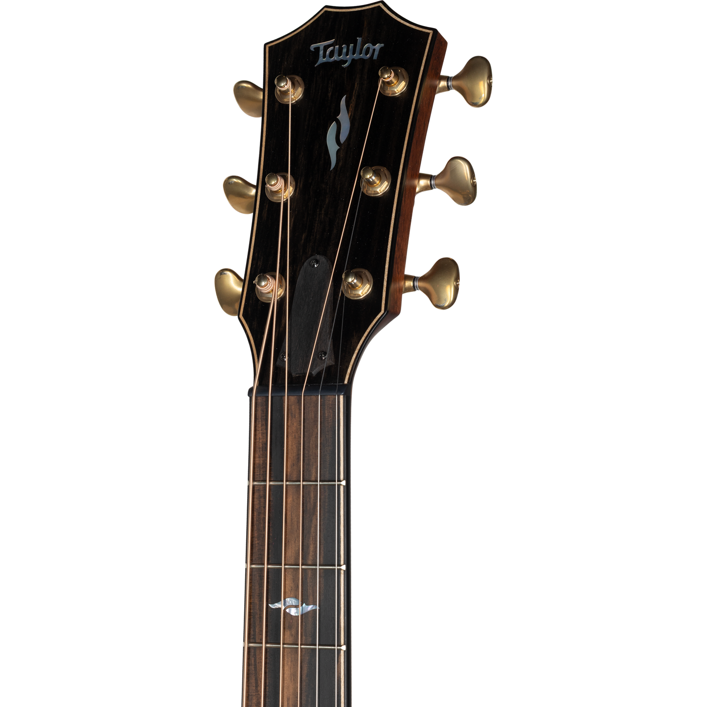 Taylor Next Generation Builder's Edition 814ce Acoustic Electric Guitar - Blacktop