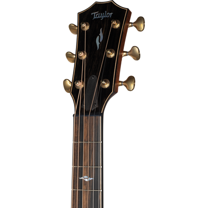 Taylor Next Generation Builder's Edition 814ce Acoustic Electric Guitar - Blacktop