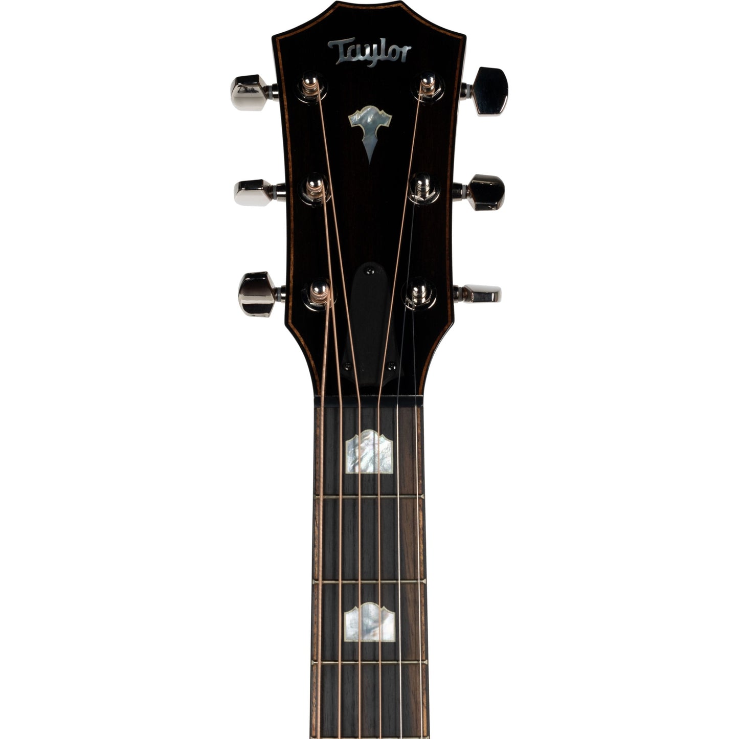Taylor 818e V-Class Grand Orchestra Acoustic Electric Guitar w/ Case