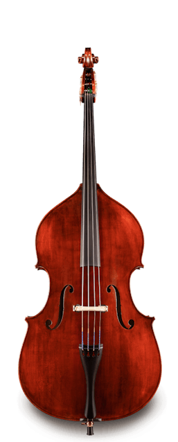 Eastman VB105 3/4 Upright Bass Outfit