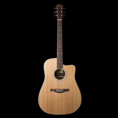 Eastman AC220CE Dreadnought Acoustic Electric Guitar w/ Gig Bag (AC220CE)