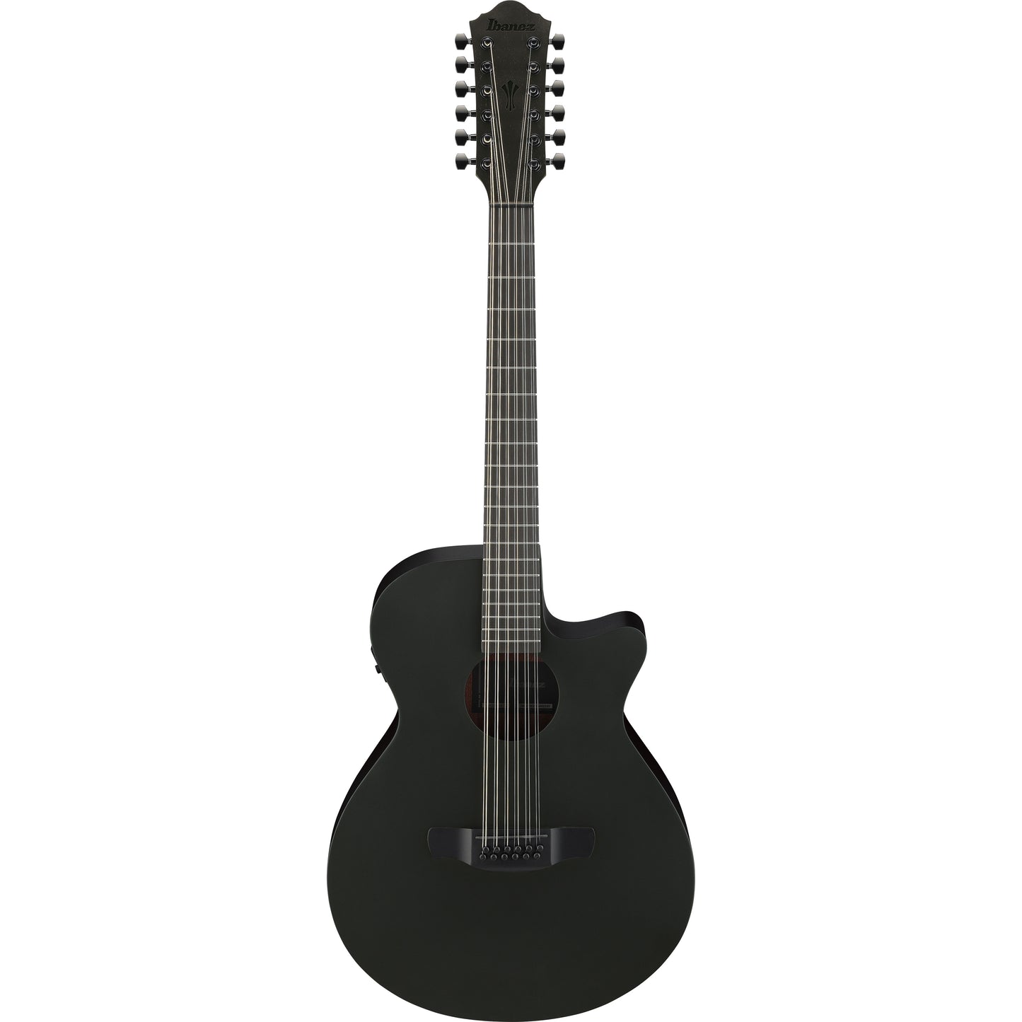 Ibanez AEG1221BOT Acoustic Electric 12 String Guitar - Black Out