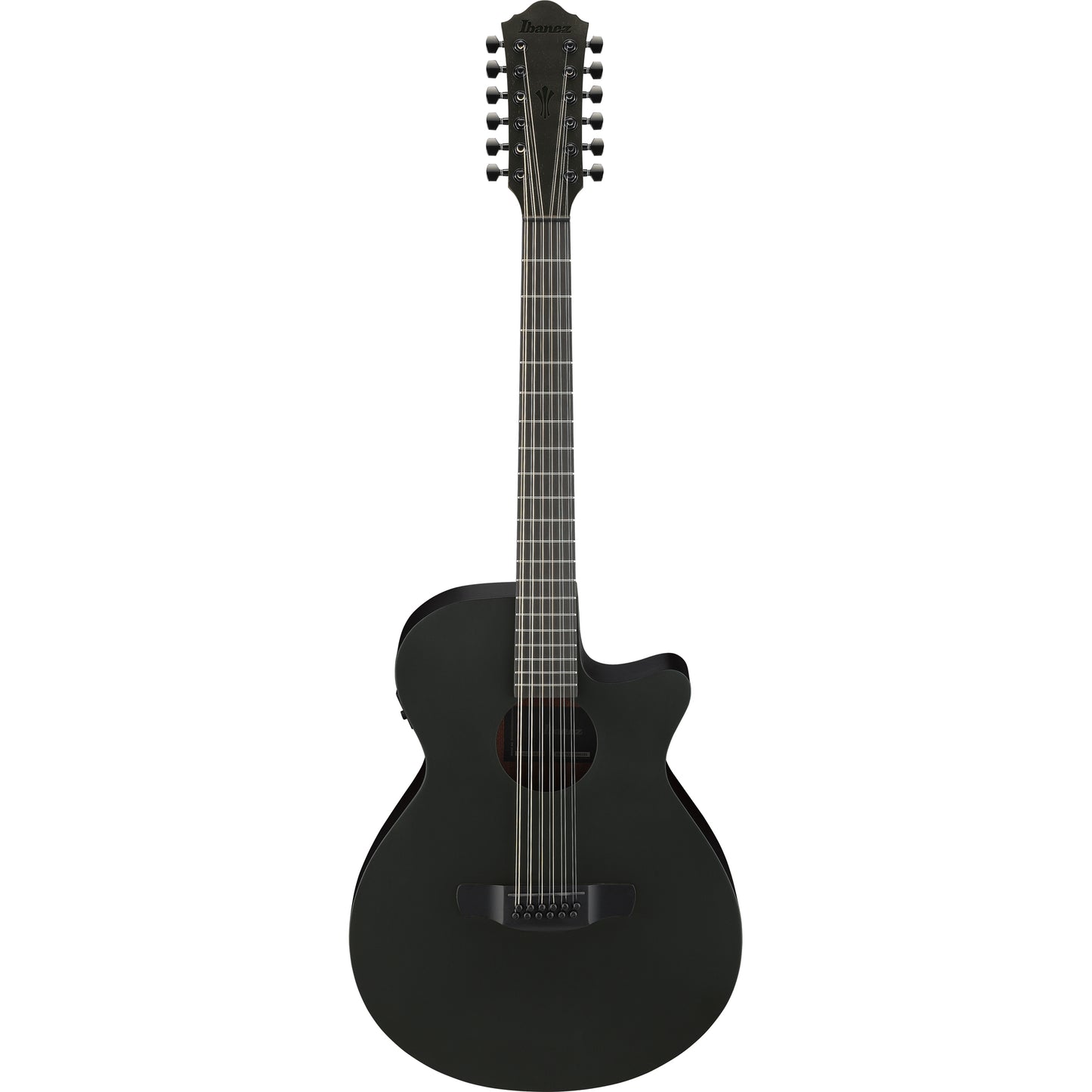 Ibanez AEG1221 AEG 12-String Acoustic Electric Guitar - Black Out