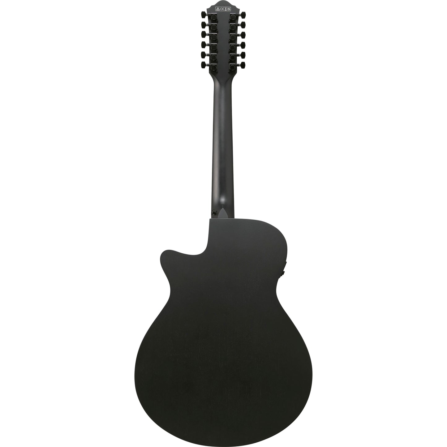 Ibanez AEG1221BOT Acoustic Electric 12 String Guitar - Black Out