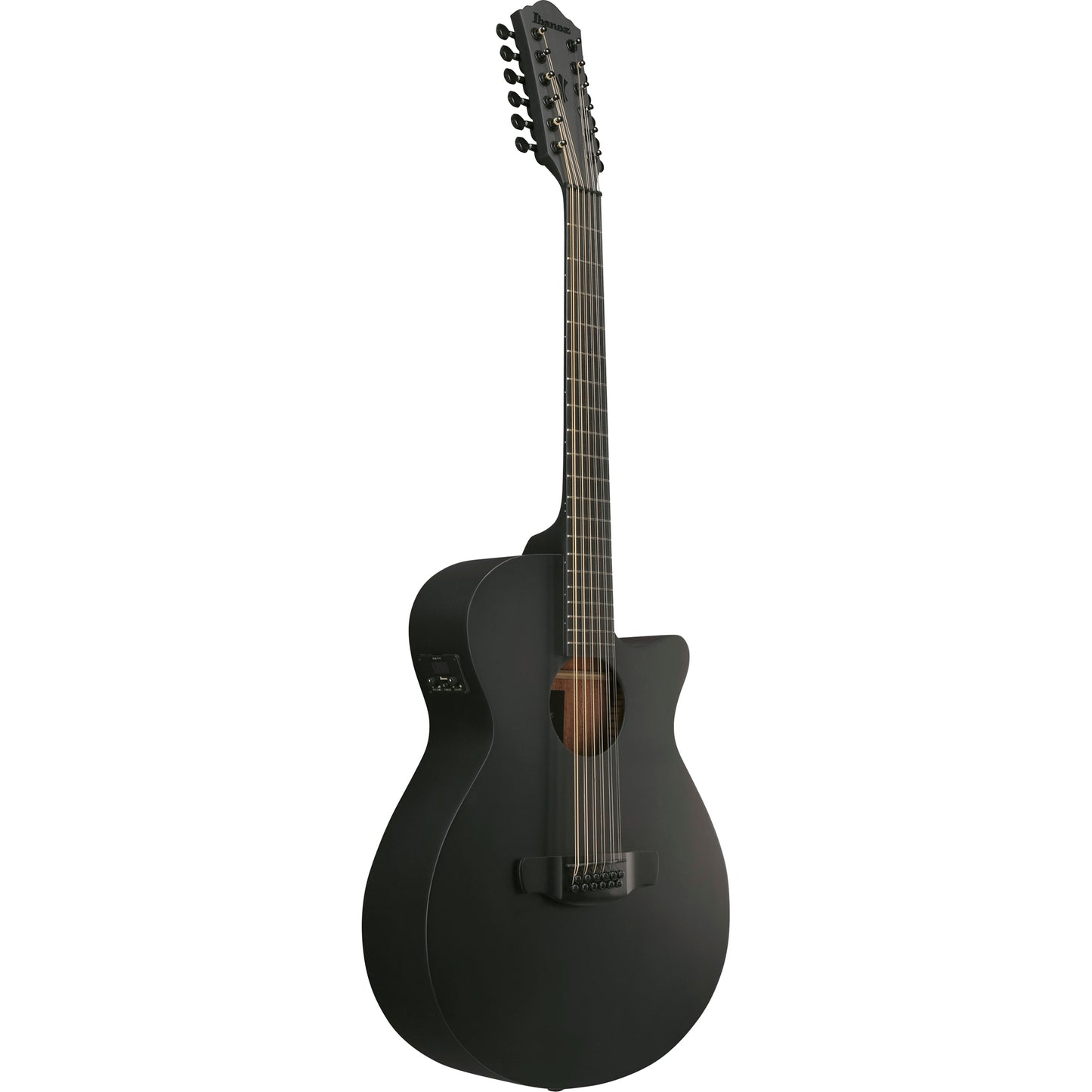 Ibanez AEG1221 AEG 12-String Acoustic Electric Guitar - Black Out