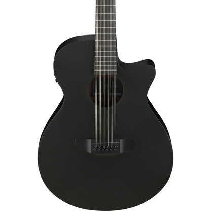 Ibanez AEG1221 AEG 12-String Acoustic Electric Guitar - Black Out
