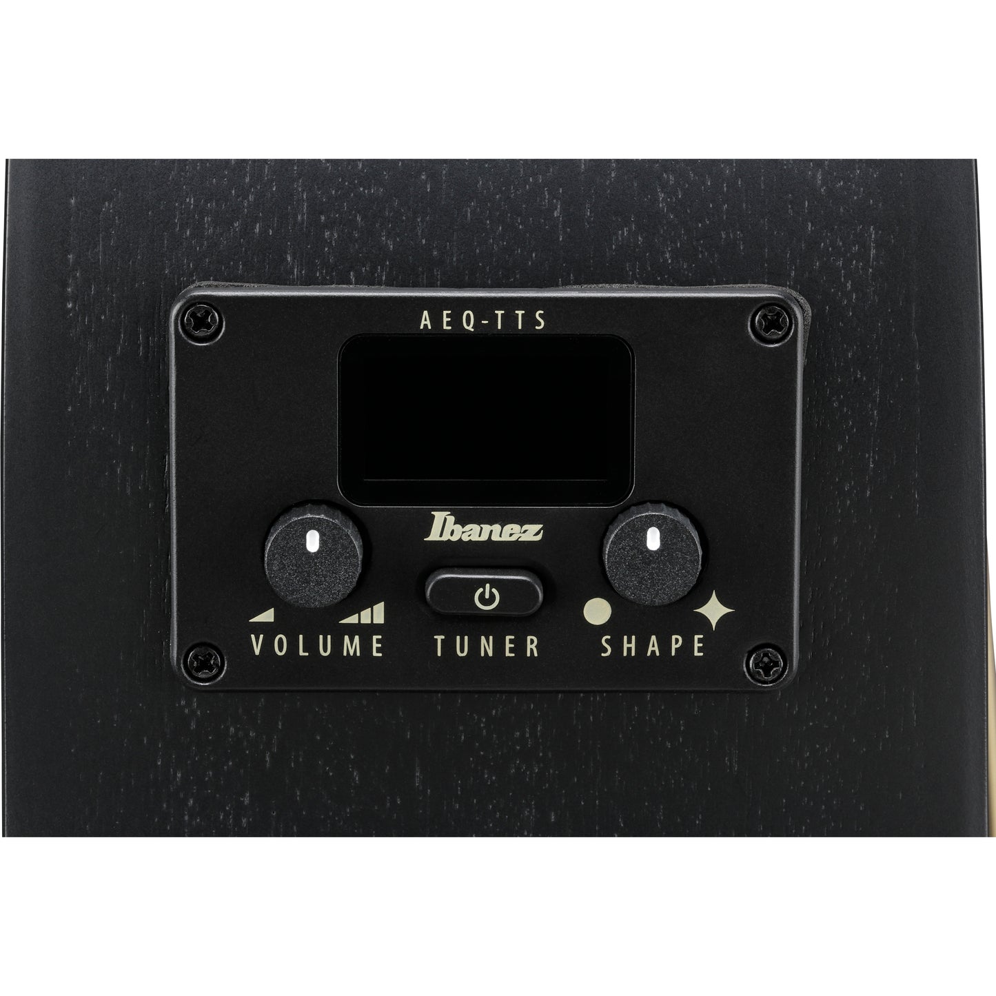 Ibanez AEG1221 AEG 12-String Acoustic Electric Guitar - Black Out