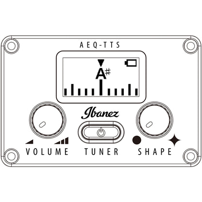 Ibanez AEG5012BK 12-String Acoustic Electric Guitar, Black High Gloss