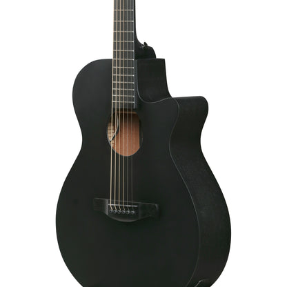Ibanez AEG621 AEG Acoustic Electric Guitar - Black Out