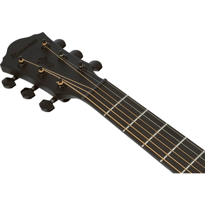 Ibanez AEG621 AEG Acoustic Electric Guitar - Black Out