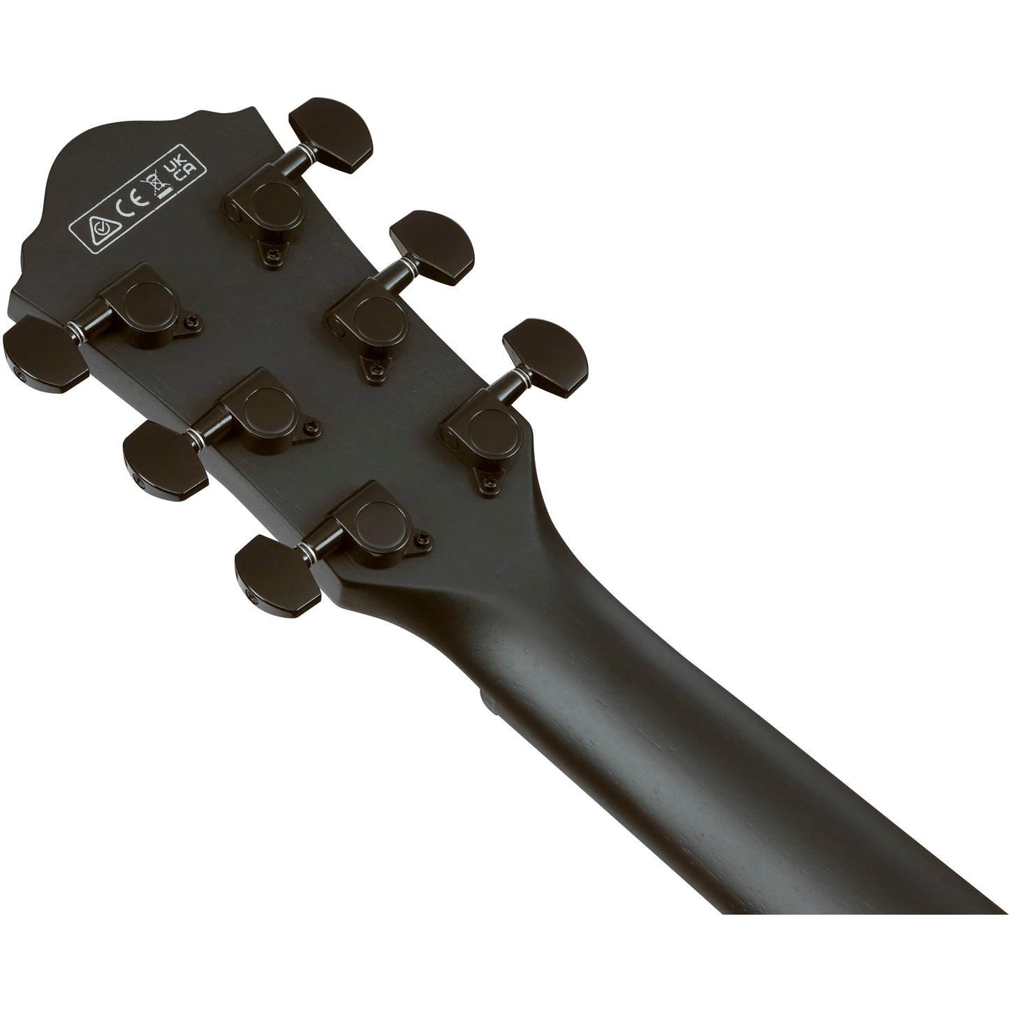 Ibanez AEG621 AEG Acoustic Electric Guitar - Black Out