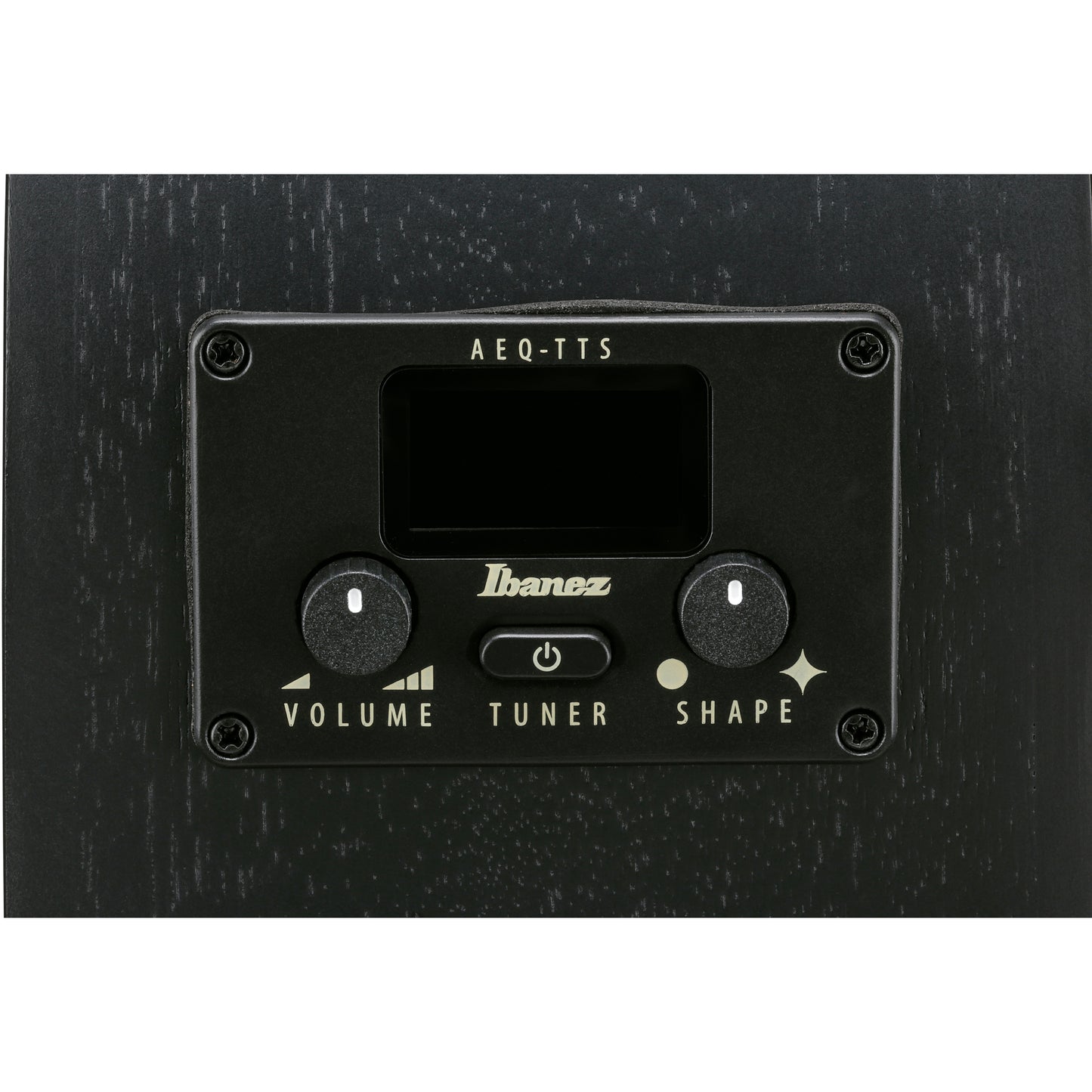 Ibanez AEG621 AEG Acoustic Electric Guitar - Black Out