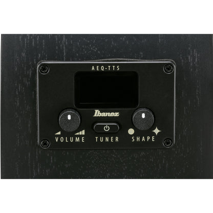 Ibanez AEG621 AEG Acoustic Electric Guitar - Black Out