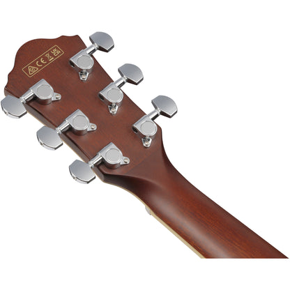 Ibanez AEGA250 250th Anniversary Acoustic Electric Guitar