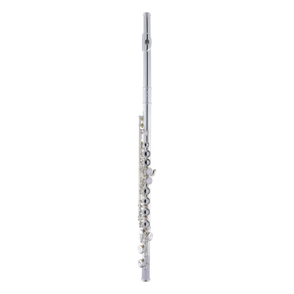 Armstrong AFL201 Closed-Hole Student Flute