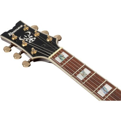 Ibanez AR320 AR Standard 6-String Electric Guitar  - Midnight Black Metallic