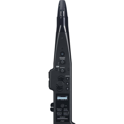 ASM Diosynth Wind Synthesizer with Hardcase and Stand